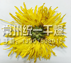 熱泵循環(huán)烘干機