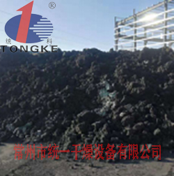 市政污泥空心槳葉干燥機