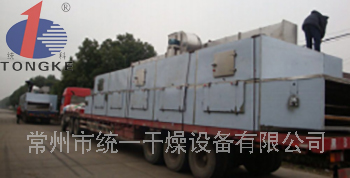 DWT脫水蔬菜帶式干燥機