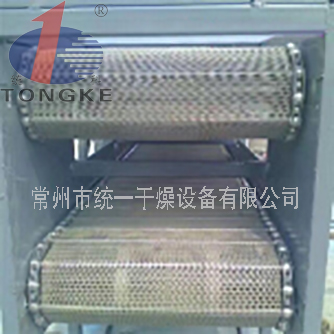 DWG瓜子專(zhuān)用干燥生產(chǎn)線(xiàn)